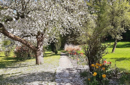 Bad Freienwalde Apartment | Double room for 2 guests with 12m² in Bad Freienwalde (Oder) (272806)