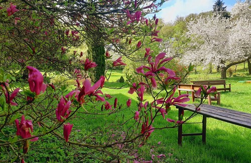 Bad Freienwalde Apartment | Double room for 2 guests with 12m² in Bad Freienwalde (Oder) (272811)