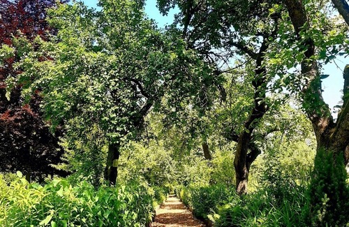 Bad Freienwalde Apartment | Double room for 2 guests with 39m² in Bad Freienwalde (Oder) (272845)