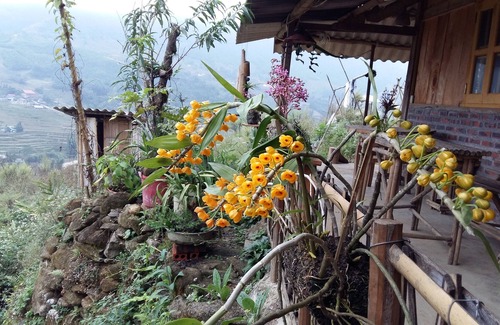 Hau Thao House | Double room in Miku house