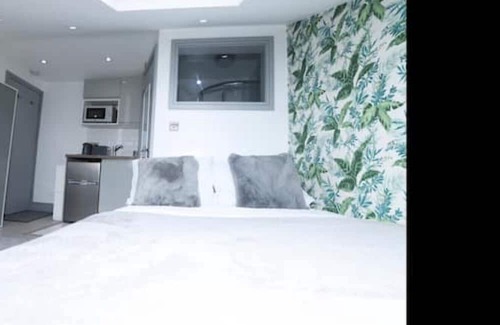Newbury Apartment | Double Studio Room with En-suite