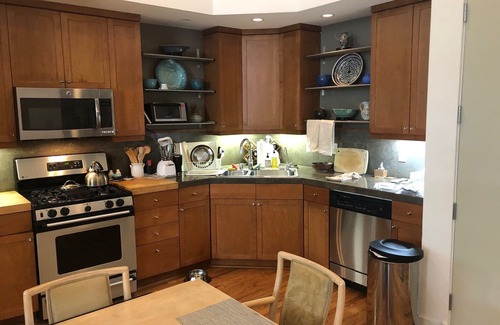 Lower State Condo | DOWNTOWN 2 BDRM LUXURY LOFT - NEAR BEACH