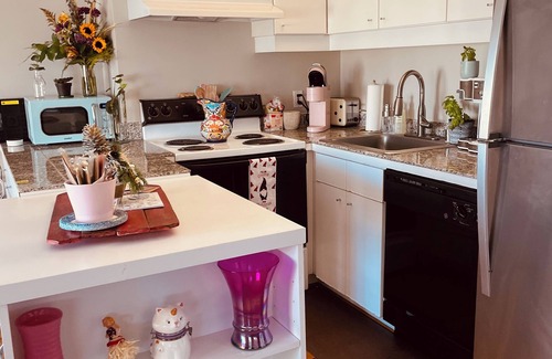 Downtown Houston Apartment | Downtown adventure- Easy access for sports and entertainment.