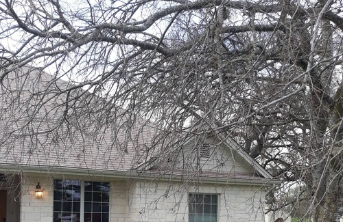 Dripping Springs House | Downtown Drip Springs Bonnie Oasis 4BR 2BA
