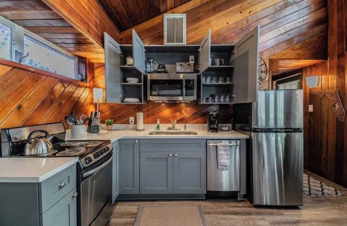 Dunedin Apartment | Downtown Dunedin B&B - Rustic Cabin with Pool