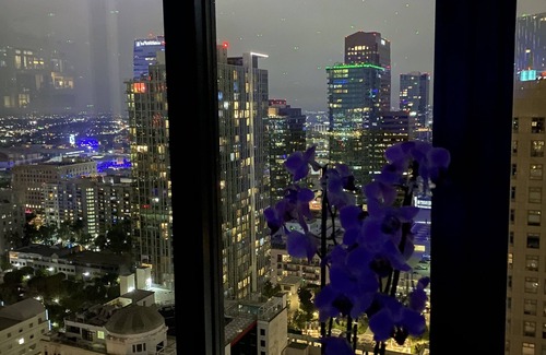Paramount House | Downtown Los Angeles luxury high rises