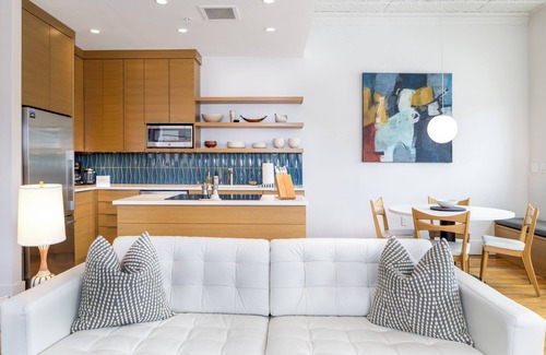 Downtown Asheville Apartment | Downtown luxury contemporary residence 202