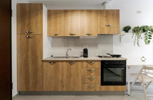 Vitan Apartment | Downtown Urban Studio w Balcony Vol 1