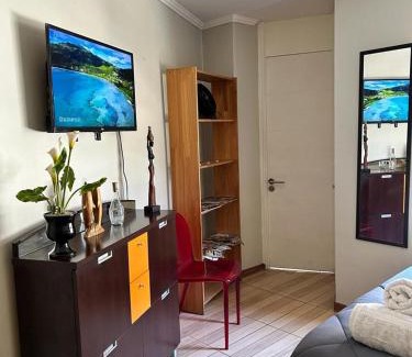 Lastarria Apartment | Dpto acogedor en Lastarria