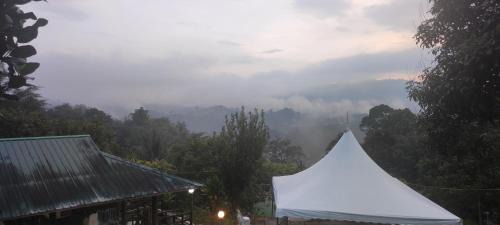 Hulu Langat Other | DPuncakLui Campsite