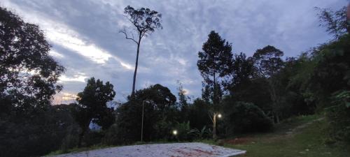 Hulu Langat Other | DPuncakLui Campsite