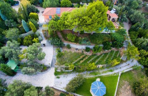 Agii Apostoli Apartment | Dr Spyrou seafront villa