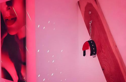 Forbach Apartment | Dream Room avec Jacuzzi, Sauna, Table de massage et Lit à eau