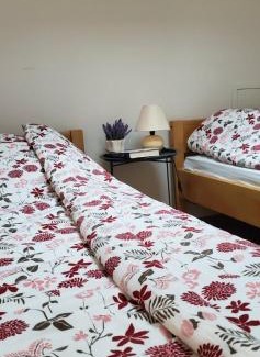 Vrpolje Apartment | Dreams