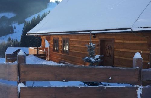 Terchova Ski Chalet | Drevenica u Michala