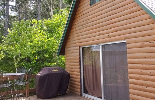 Linneus House | Drews Lake Vacation Home