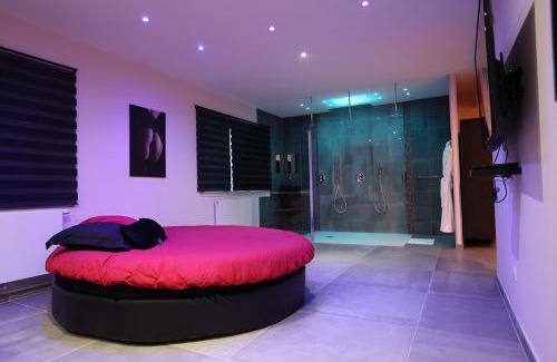 Plateau de Haye Bed & Breakfast | Ds Plaisir Love Room avec sauna, jacuzzi à Nancy