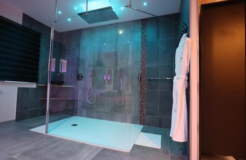 Plateau de Haye Bed & Breakfast | Ds Plaisir Love Room avec sauna, jacuzzi à Nancy