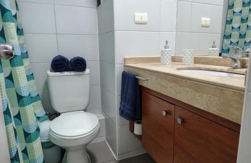 Concepcion Apartment | DSalas 445 con estacionamiento Concepcion