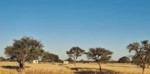 Namibia Other | Duineveld Kalahari Camp