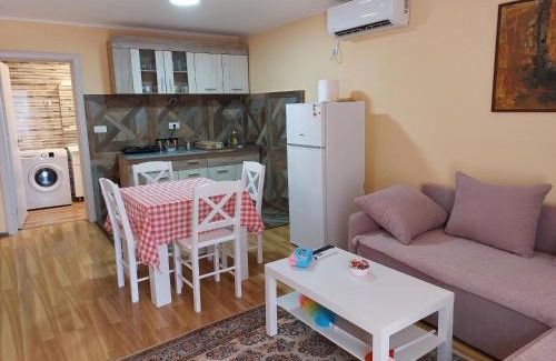 Soko Banja Apartment | Dukat