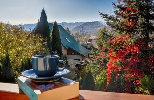 Piwniczna-Zdroj Ski Chalet | Dulakówka - domek na każdą pogodę