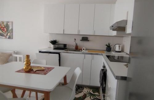 Vizafogo Apartment | Duna Apartment, FreeGarage, 2Room, smartTV,Dishwasher,AC