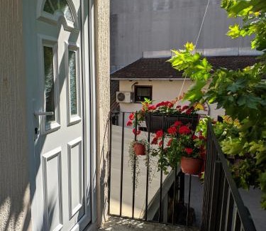 Novi Sad House | Dunavska Room