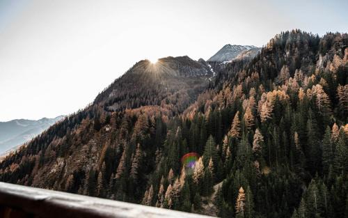 Vandoies Apartment | Duner Heuschupfe