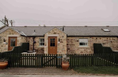 Belford House | Dunlin