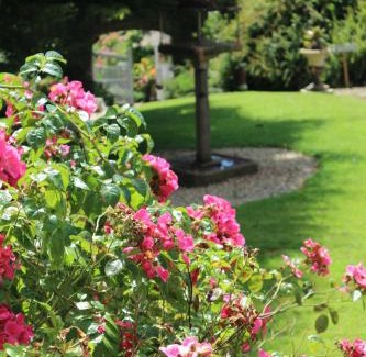Carrigans Bed & Breakfast | Dunmore Gardens