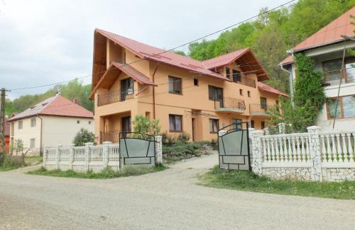 Vadu Izei House | Dupa apa la Razvan