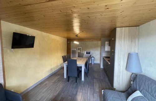 Saint-Jacques-des-Blats Apartment | Duplex confortable 52m² - 2 chambres - Près des pistes - Parking gratuit - Non fumeur - FR-1-787-11