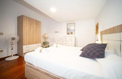 Arriondas Apartment | Duplex Las Piraguas