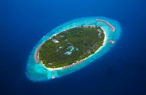 Mudhdhoo Resort | Dusit Thani Maldives - 50 percent discount on transfers for stays until 20 Dec 2025