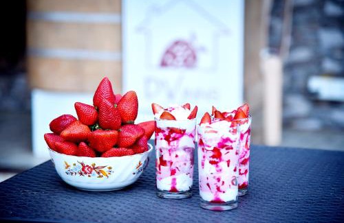 Old Mahabaleshwar Resort | DV INNS FARMVILLA - Besides Strawberry Farms