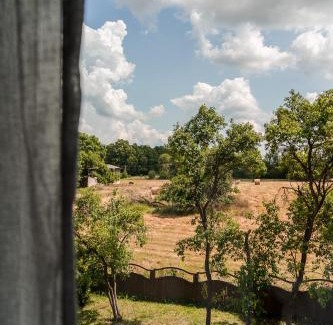 Smolecin House | Dwór Białe Wino