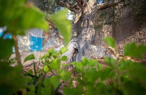 Tiggiano House | Dwelling ideal for couple sea view surrounded by greenery with double terrace panora