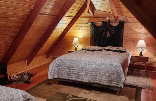 Sanok House | Dzikie południe