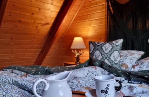 Sanok House | Dzikie południe