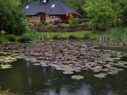 Sanok House | Dzikie południe