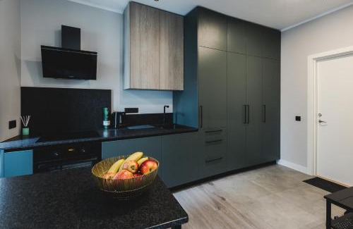 Avoti Apartment | Dzirnavu Apartment