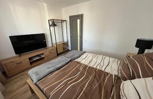 Sfantu Gheorghe Apartment | EA flat