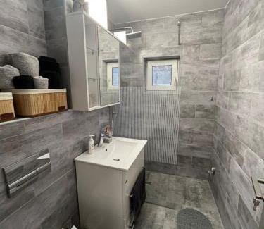 Sfantu Gheorghe Apartment | EA flat