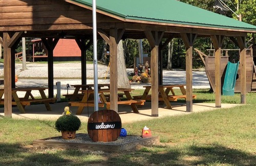 Westphalia Cabin | Eagles Nest Camping Bee Hunter Cabin
