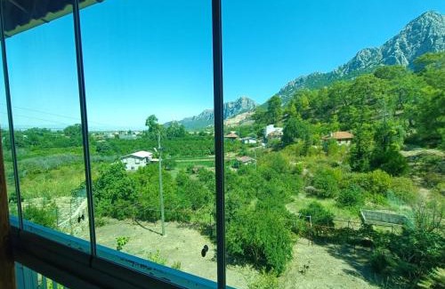Liman Mahallesi Other | EBD Village