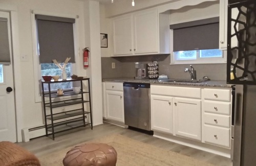 Old Forge House | Eclectic Decor 5 Br house, 2 Baths & 2 Kitchens with WiFi and AC in Old Forge
