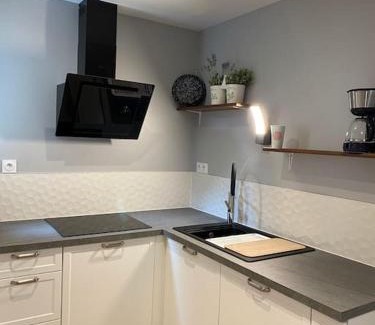 Saint-Mars-la-Jaille Villa | Eco Gîte 12 pers La Charmante des Vallons avec SPA