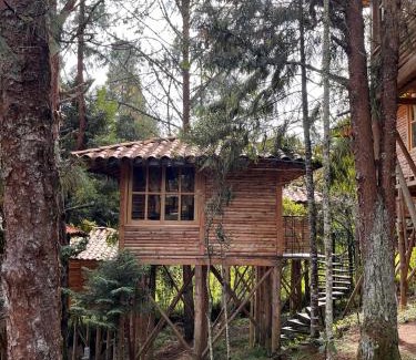 Medellin Other | Eco Hotel Nigüíto