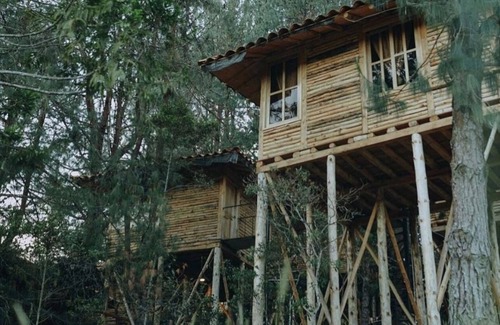 Medellin Hotel | ECO HOTEL NIGUITO